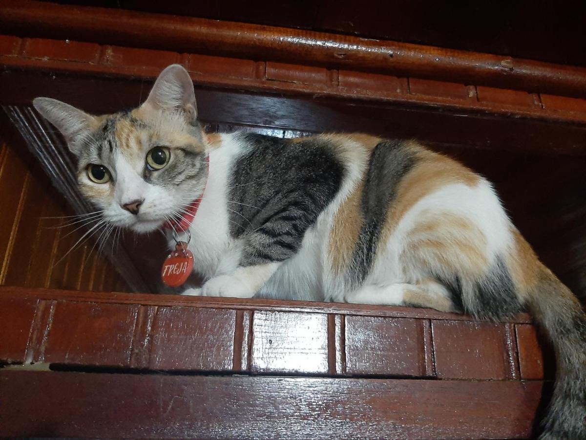 Homestay Casa Trattoria Itaya